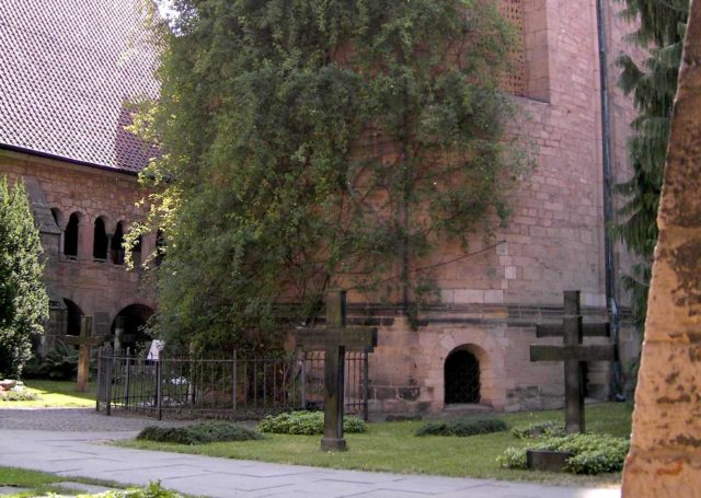 Der Tausendjährige Rosenstock In Hildesheim | Deutschland Mal Anders